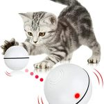 Cat Toy Ball With Built In LED Light