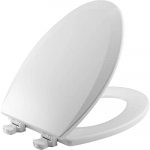 Toilet Seat with Easy Clean & Change Hinges